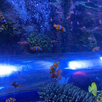 Photo taken at National Sea Life Centre by Aseel A. on 3/26/2022