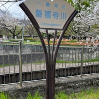 Photo taken at 善福寺川 by 寒椿 / Kantsubaki on 4/11/2024