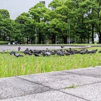 Photo taken at こうなん星の公園 by 寒椿 / Kantsubaki on 5/31/2022
