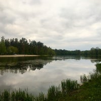 Photo taken at Озеро с утками by Juliet K. on 5/5/2020