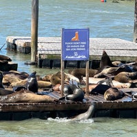 Photo taken at Sea Lions by Susannah S. on 3/15/2024