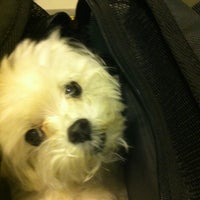 Photo taken at Park East Animal Hospital by Stephanie F. on 4/16/2012