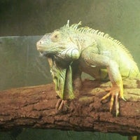 Photo taken at Reptilia by Phil M. on 1/21/2012