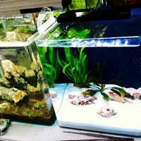 Photo taken at U-aquarium Shop by Best A. on 6/15/2012
