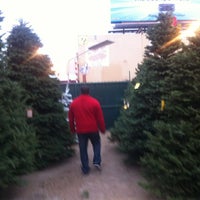 Delancey Street Christmas Trees Now Closed