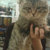 Photo taken at Royal Canin International Cat Show by Maxim K. on 12/4/2011