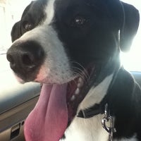 Humane Society of Utah - 4242 S Commerce Dr