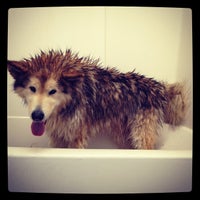 Photo taken at Doggie Bath-O-Matt by Guf G. on 10/22/2011