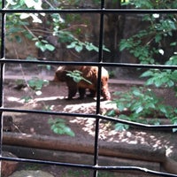 Photo taken at Grizzly Bear Exhibit by Christina on 4/23/2011