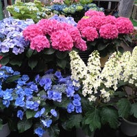 島忠 松戸店 164 Ziyaretcidan 1 Tavsiye
