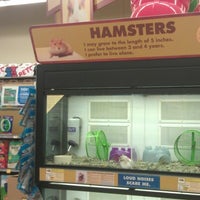 Petco Pet Store In Mt Pleasant