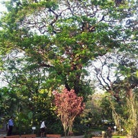 Photo taken at สวนพฤกษศาสตร ์วัฒนาวิทยาลัย by Jack P. on 2/29/2012