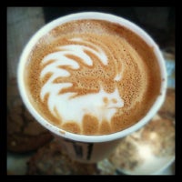 caffe vita caffe vita