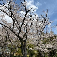 Photo taken at せせらぎ公園 by あみすけ鹵 on 4/11/2024
