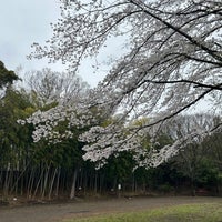 Photo taken at せせらぎ公園 by あみすけ鹵 on 4/5/2024
