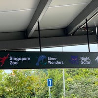 Photo taken at Singapore Zoo by Jason C. on 4/8/2023