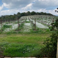 Photo taken at ambelonas_corfu / vineyard by joanna p. on 3/6/2022