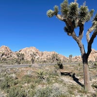 Photo taken at Joshua Tree National Park by Alexander K. on 4/14/2023