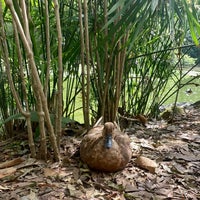 Photo taken at Jardín Botánico Joaquín Antonio Uribe by Arturo V. on 2/8/2023