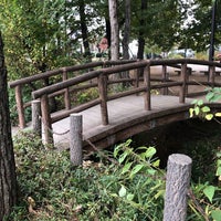 野火止公園 新座市 埼玉県