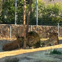 Photo taken at Bakı Zooparkı / Baku Zoo by MNO on 8/3/2023