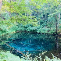 神の子池 Lago Em Kiyosatocho 北海道