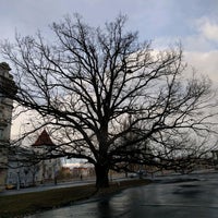 Photo taken at Památný strom dub letní by Jakub P. on 12/11/2016