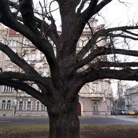 Photo taken at Památný strom dub letní by Jakub P. on 12/31/2016