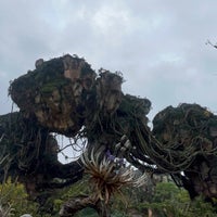 Photo taken at Animal Kingdom Main Entrance by Cesar N. on 3/28/2024