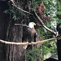 Photo taken at Sequoia Park Zoo by Tatiana on 12/22/2018