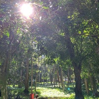 Photo taken at Parque Lage by Daniela A. on 6/23/2023