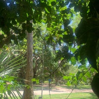Photo taken at Jardim Botânico by Daniela A. on 1/15/2023