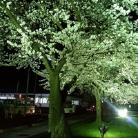 新潟職業能力開発短期大学校 University