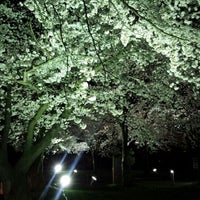 新潟職業能力開発短期大学校 University