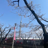 Photo taken at Sumida Park by あっぷるどんな on 4/2/2024