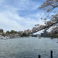 Photo taken at Senzokuike Park by Megu.N on 4/13/2024