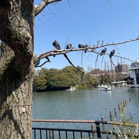 Photo taken at Senzokuike Park by Megu.N on 3/16/2024