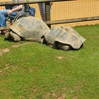 Photo taken at Cotswold Wildlife Park by Béla C. on 7/5/2021