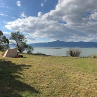 湖岸緑地 津田江１ 湖沼