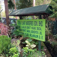 Ideal Plant Nurseries 1 Tip