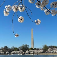 Photo taken at Tidal Basin by Dia on 3/24/2024