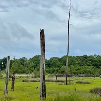 Photo taken at First Landing State Park by Dia on 7/2/2021