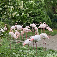 Foto tomada en Zoológico de Basilea  por Анна О. el 5/6/2024