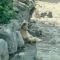 Photo taken at Yerevan Zoo by Анна О. on 5/1/2023