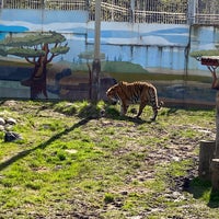 Photo taken at Ярославский зоопарк by Анна О. on 5/7/2021