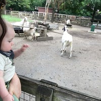 Photo taken at Domestic Animals Exhibit (Petting Zoo) by Amy F. on 6/22/2018
