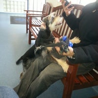 Floyd Harbor Animal Hospital Veterinarian In Shirley