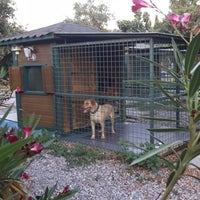 Photos At Bobyland Dog Resort Hotel Animal Shelter In Guzelbahce