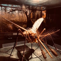 Photo taken at American Museum of Natural History by d. W. on 1/10/2019