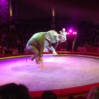 Photo taken at Nikulin Moscow Circus on Tsvetnoi Boulevard by Андрон А. on 5/2/2013